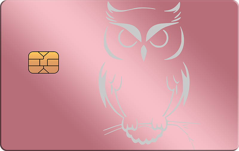Owl 2